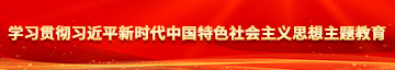 暴操欧美美女大逼学习贯彻习近平新时代中国特色社会主义思想主题教育