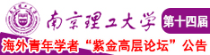 c穴～流水南京理工大学第十四届海外青年学者紫金论坛诚邀海内外英才！